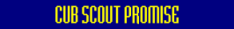 CubScoutPromise